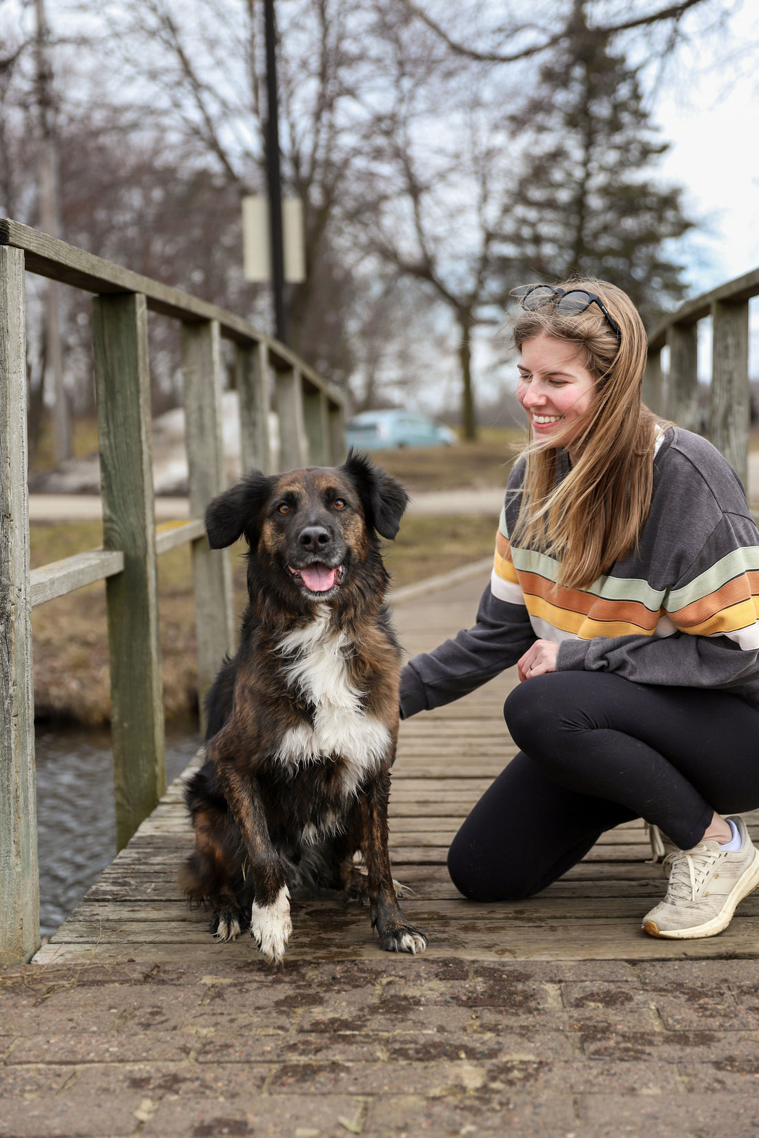 The Canine Cure: How Dogs Naturally Ease Stress and Brighten Our Days